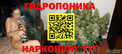 гидропоника Заволжье