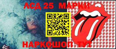 гидропоника Заволжье