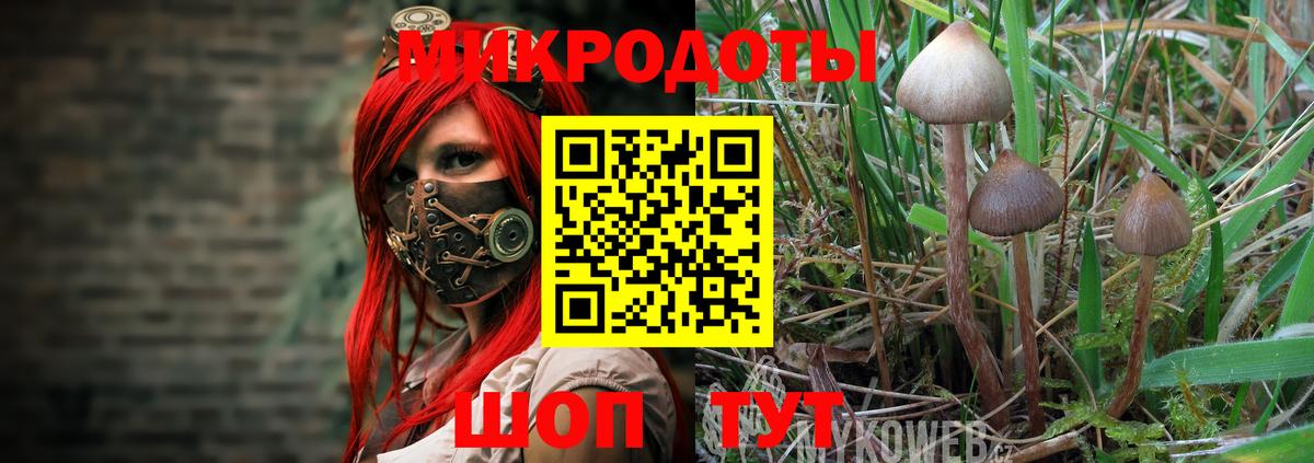 Краснознаменск  Галлюциногенные грибы GOLDEN TEACHER  Вход с VPN  Галлюциногенные грибы Psilocybe 