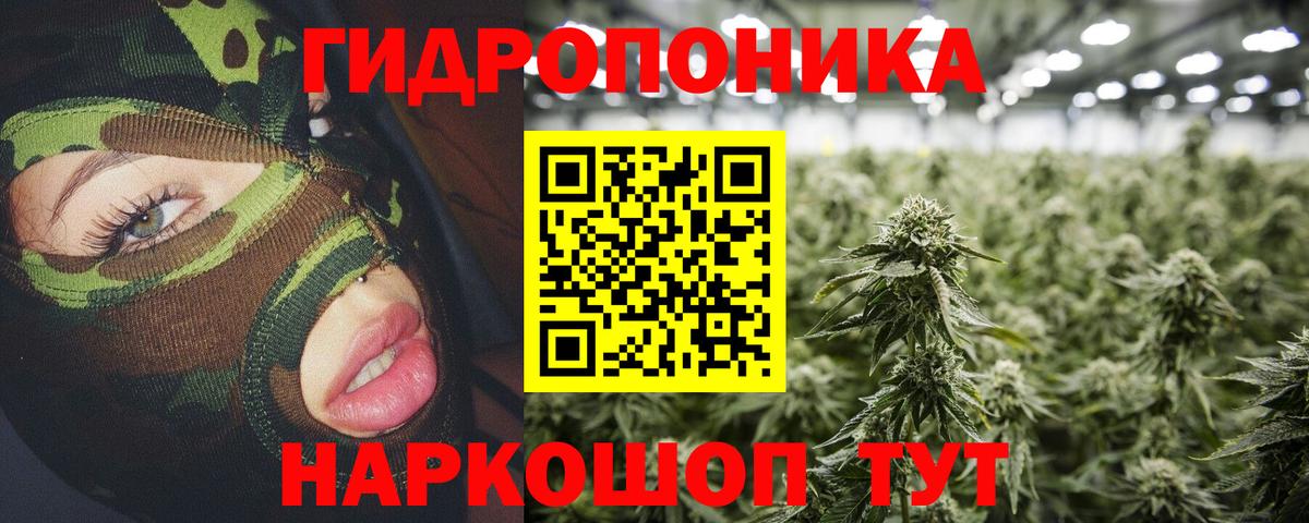 Каннабис Ganja Краснознаменск